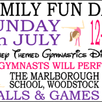 Summer Display & Family Fun Day! Sunday 7th July